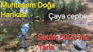 Satış dışı Balıkesir Gönen Harika Çaya cepheli Tarla 5000m2 [upl. by Shaylynn574]