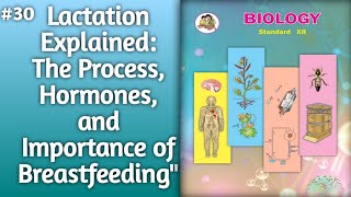 Lactation Explained The Process Hormones and Importance of Breastfeeding l lactation [upl. by Dobbins]