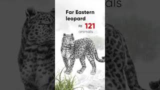 Most Endangered Species IUCN Red List [upl. by Dorothi]