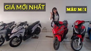 Giá xe Ga Honda mới nhất giữa tháng 11  Vario 125 2024  Vision 2024 [upl. by Neiht]