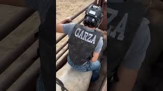 2nd bull of the practice pens gotta cowboy up like famousshorts viralvideo follow bull [upl. by Nellad353]