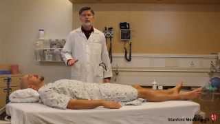 Ankle Brachial Index ABI Test How to Perform [upl. by Knorring]