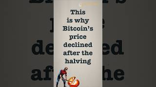 Here’s why Bitcoin’s price is down since the halving [upl. by Salchunas]