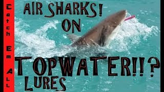 CATCHING SHARKS on TOPWATER LURES [upl. by Whorton]