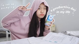 a productive day in my life quarantine vlog [upl. by Maggs]