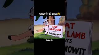 cartoon video sher aur Shikari [upl. by Ihculo]