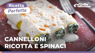 CANNELLONI RICOTTA e SPINACI un must della cucina italiana Ricetta originale [upl. by Dleifniw]