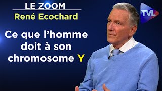 Différences hommefemme  les révélations des neurosciences   Le Zoom  René Ecochard  TVL [upl. by Aicirtan]