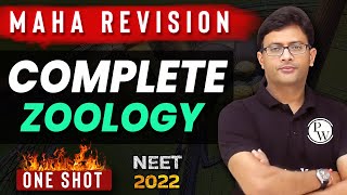 The MOST POWERFUL Revision 🔥 Complete ZOOLOGY in 1 Shot  Theory  Practice  🙏 [upl. by Irem801]