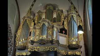 Vincent Lübeck  Praeludium in G Minor LubWV 12  Krzysztof Urbaniak organ Mölln live [upl. by Peadar]