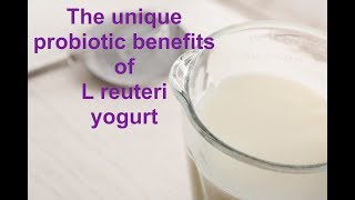 The unique probiotic benefits of L reuteri yogurt [upl. by Noonberg]