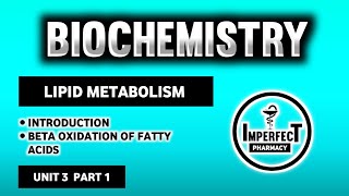 Beta Oxidation Of Fatty Acids  Lipid Metabolism  Biochemistry  B Pharma 2nd Semester [upl. by Lalad]