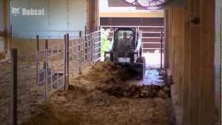 Bobcat MSeries Loaders Harmony on the Farm [upl. by Urbas224]