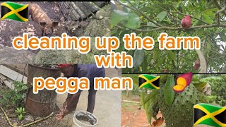 PEGGA MAN 72 YEARS OLD FRUITS AND VEGETABLES FARMER 😍 [upl. by Gulgee]