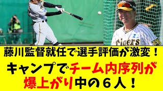 【阪神】キャンプで藤川監督が絶賛、序列が爆上がりの６人！ [upl. by Otto848]