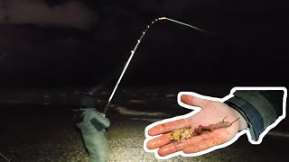 night fishing in Brighton with slipper limpets and ragworm sea fishing UK [upl. by Cyrillus]