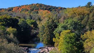 Morningside Park amp Highland Creek Trail [upl. by Assiluy825]