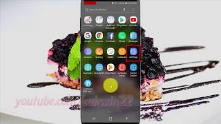 Samsung Galaxy S9  How to Enable or Disable Magnifier Window Android Oreo [upl. by Qirat]