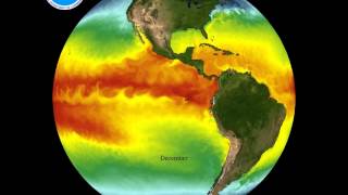 GFDL Global Sea Surface Temperature Model [upl. by Sheree883]