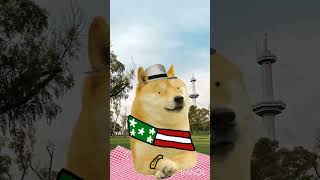 PLATO🗣️🗣️‼️‼️🔥🔥 plato parati humor CapCut XD TPYC paratiforyou doge Meme ytph [upl. by Von]