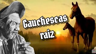 As melhores do sul  gauchesco raiz vol2 [upl. by Eveline]