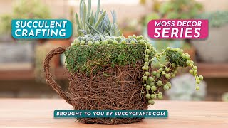 Succulent Craft Kit Guide The Watering Can [upl. by Dyolf885]