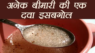 इसबगोल खाने का सही तरीका  Isabgol Health Benefits  Boldsky [upl. by Llenrub]