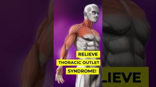 Thoracic Outlet Syndrome Relief Exercises [upl. by Westlund201]