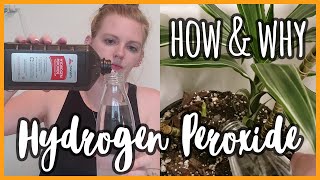 How amp Why to Use Hydrogen Peroxide on Your Plants [upl. by Eecyal742]