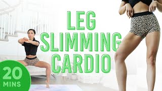 20 Minute Leg Slimming Cardio Pilates Workout  7 Day Thigh Challenge do this video every day [upl. by Holub211]