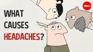 What causes headaches  Dan Kwartler [upl. by Servetnick431]