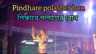 PINDARE POLASHER BON  পিন্দারে পলাশের বোন । [upl. by Yleak]