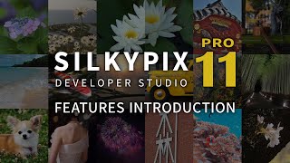 quotSILKYPIX Developer Studio Pro11quot promotion movie  FEATURES INTRODUCTION [upl. by Niamreg]