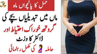 5 Month Of Pregnancy l Hamal ka 5 mahina in Urdu l حمل کا پانچواں ماہ سے متعلق تفصیلی معلومات [upl. by Akihdar]