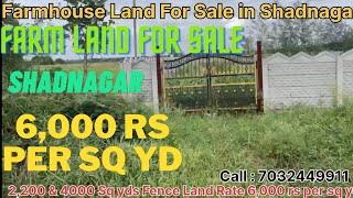 Farm Lands For Sale at Shadnagar Chegoor Farooq nagar 2200 amp 4000 Sq yd Fenced Land Rate 6000sq yd [upl. by Alusru257]