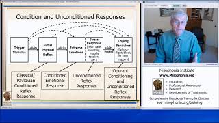 Conditioned and Unconditioned Reflexes of Misophonia [upl. by Attena]