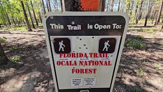 Backpacking the Florida Trail Ocala National Forest 4K VIDEO [upl. by Valerio]