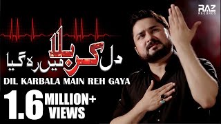 DIL KARBALA MAIN REH GAYA  New HD Noha 2018 20191440  Syed Raza Abbas Zaidi Nohay 2019 [upl. by Airamas319]