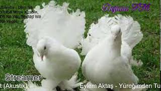 Dejavu🕊 FM • Canlı İstek Yayını  Online Radyo Dinle [upl. by Weston]