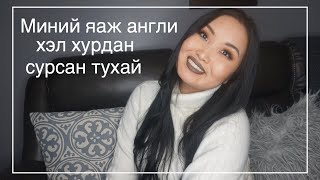 Би яаж хурдан англи хэл сурсан бэ  Миний яаж англи хэл хурдан сурсан тухай [upl. by Nosiram]