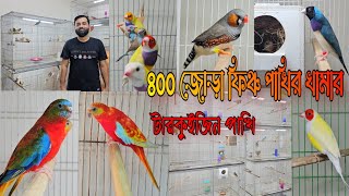 ৪০০ জোড়া ফিঞ্চ পাখির খামার  400 Pair finch Birds farm in Bangladesh [upl. by Iago]