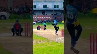 Big wicket cricketfans sportsfans ipl cricketleague crickettournament psl cricket bowling [upl. by Efrem]