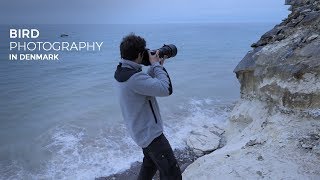 BIRD PHOTOGRAPHY IN DENMARK  wildlife photography behind the scenes  birds in flight nikon D5 [upl. by Hourigan826]