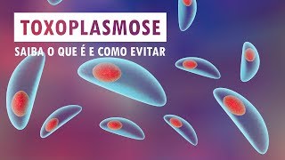 Toxoplasmose  saiba o que é e como evitar  Sua Saúde na Rede [upl. by Chico811]