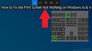 How to Fix the Print Screen Not Working on Windows 10 [upl. by Neeruan]