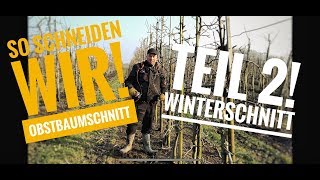 Obsthof Raddatz  Kleiner Einblick in unseren Tag 9 Teil 2 Winterschnitt [upl. by Kcinom100]