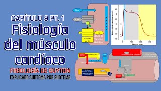 CAP 9 13 Fisiología del músculo cardíaco l Fisiología de Guyton [upl. by Joyce740]