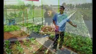 Farming karne ka naya Tarika l Different Growing Vegitables seeds farming vedio [upl. by Silvie]