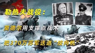 勒熱夫戰役：莫德爾用支撐點戰術，把370萬蘇軍送進“絞肉機” 學歷史知識 學歷史 知識 歷史 外星人 [upl. by Aronson565]