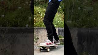 SOFT WHEELS SKATEBOARDS  PERFECTO LANDYACHTZ [upl. by Tawsha]